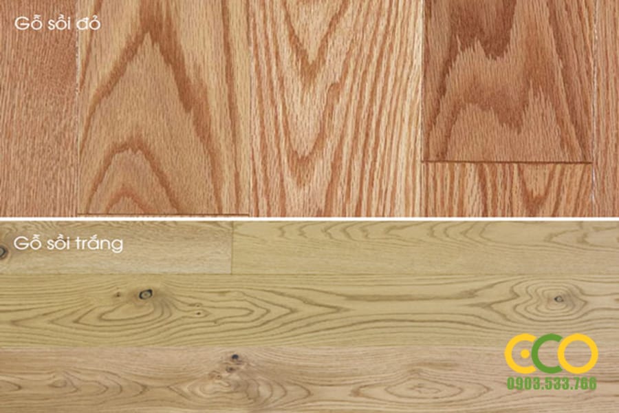 TÊN VÀ ĐẶC TÍNH , CÁCH NHẬN BIẾT GỖ TỰ NHIÊN TRONG NỘI THẤT HIỆN NAY