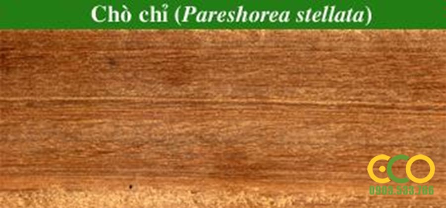 TÊN VÀ ĐẶC TÍNH , CÁCH NHẬN BIẾT GỖ TỰ NHIÊN TRONG NỘI THẤT HIỆN NAY