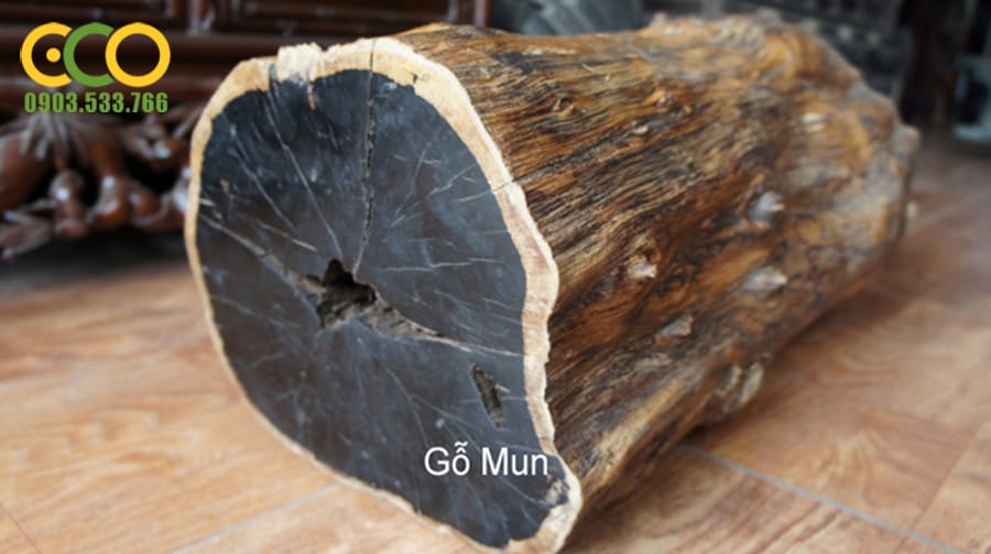 TÊN VÀ ĐẶC TÍNH , CÁCH NHẬN BIẾT GỖ TỰ NHIÊN TRONG NỘI THẤT HIỆN NAY