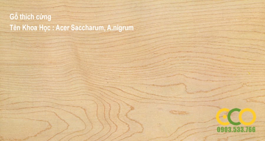 TÊN VÀ ĐẶC TÍNH , CÁCH NHẬN BIẾT GỖ TỰ NHIÊN TRONG NỘI THẤT HIỆN NAY