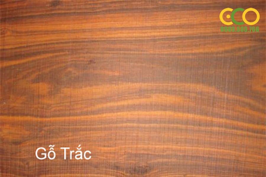 TÊN VÀ ĐẶC TÍNH , CÁCH NHẬN BIẾT GỖ TỰ NHIÊN TRONG NỘI THẤT HIỆN NAY