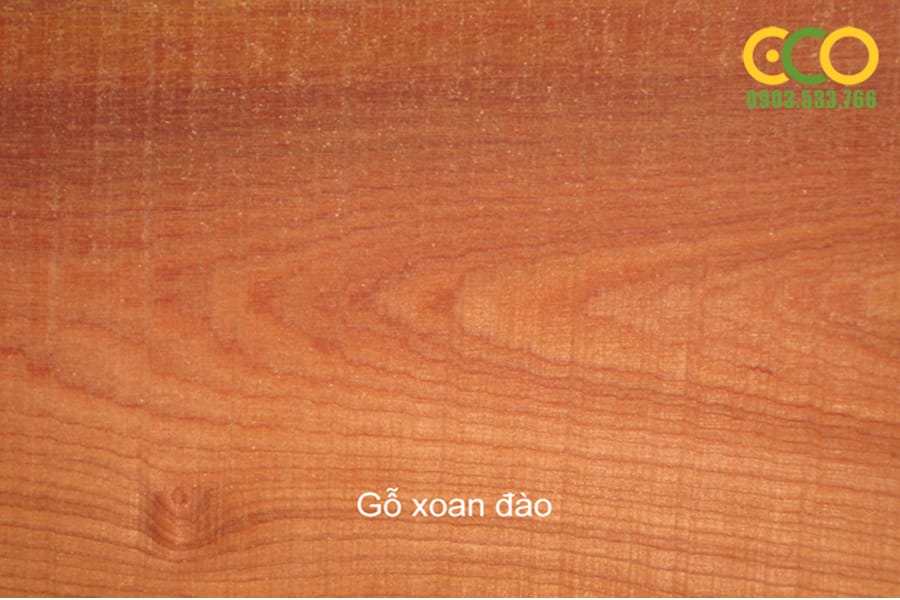 TÊN VÀ ĐẶC TÍNH , CÁCH NHẬN BIẾT GỖ TỰ NHIÊN TRONG NỘI THẤT HIỆN NAY