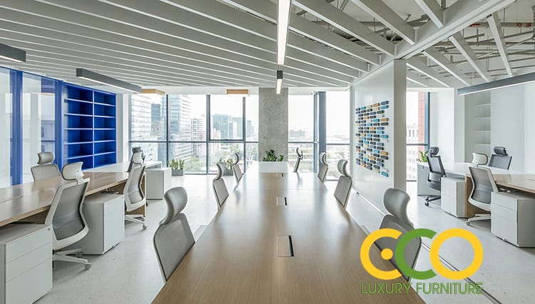 Thiết kế phòng làm việc chung 