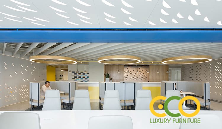 Thiết ké phòng làm việc chung