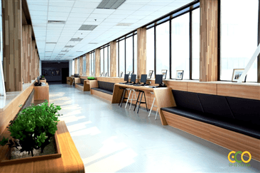 Hình ảnh Trương Thiện Quang<br>(CEO)