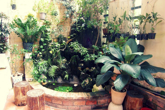 khu vuon biet thu nha pho